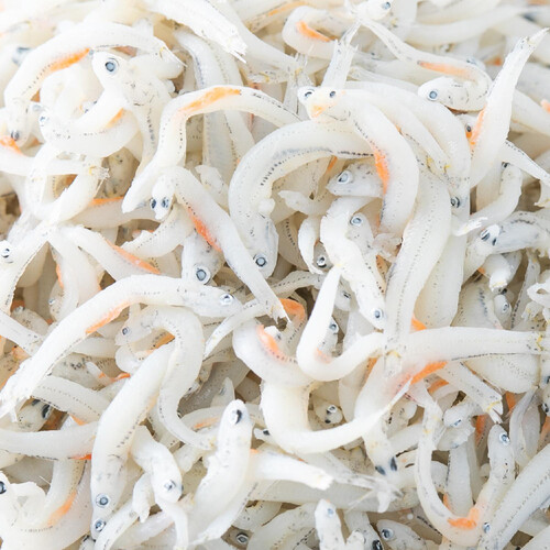 冷凍】森水産 愛媛産 釜あげ姫様しらす 25g x 10袋 Green Beans