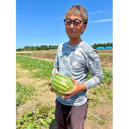 ［食べごろ+］青森県産 工藤さんのタネごと食べられるピノ・ガール 小さめ 1.2kg 1玉