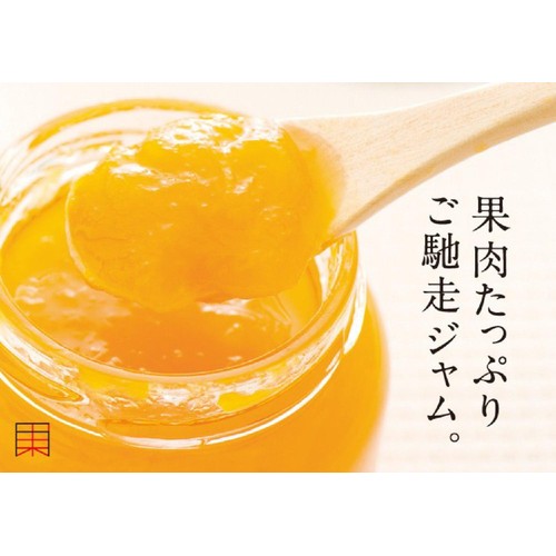 万果 沖縄マンゴーざくぎり果実 125g