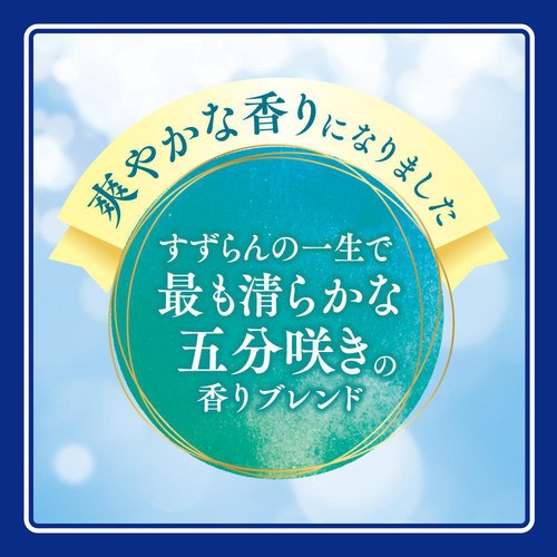 花王 洗濯洗剤 ニュービーズ 大 800g