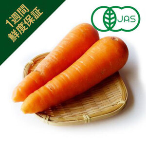 鮮度+］【有機】千葉県産 にんじん 400g 2-5本 1袋 Green Beans
