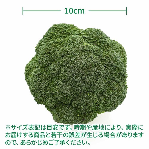 ［鮮度+］北海道産 ブロッコリー 1個