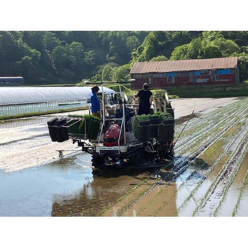 カワサキ森田屋 北海道 赤平産ゆめぴりか 特別栽培米 生産者ベストライス赤平 3kg