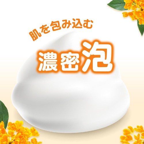 ユニリーバ ダヴ ふわとろボディウォッシュ キンモクセイ  ポンプ 450g