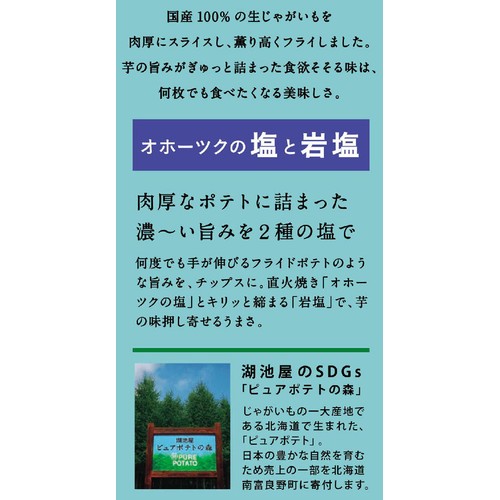 湖池屋 ピュアポテト オホーツクの塩と岩塩 55g