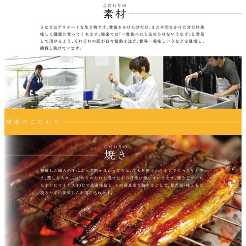 【冷凍】鰻楽 九州産 うなぎ長焼 大 2尾セット 400g