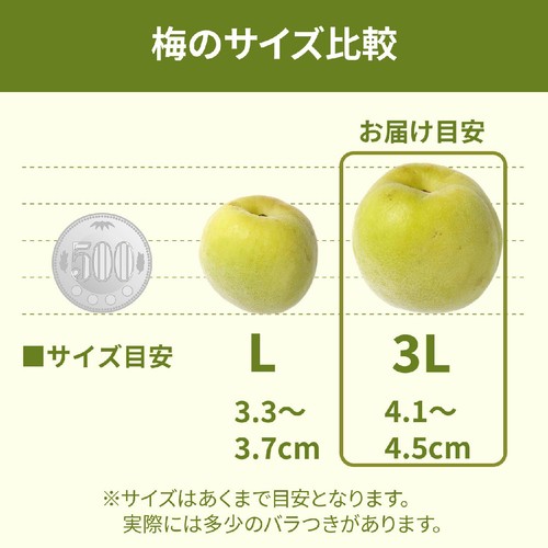 和歌山県産 南高梅(大粒) 1kg 1袋