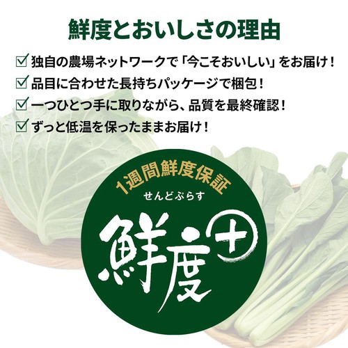 [鮮度+] 北海道産 長ねぎ 2本1袋