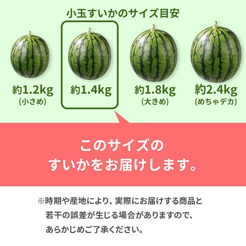 とんでもなく甘い西瓜 新潟県産【ルビームーン】高糖度 小玉2玉 とんでもなく甘い西瓜 新潟県産【ルビームーン】高糖度 小玉2玉