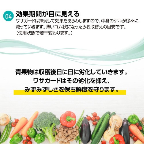 虎変堂 ワサガード 家庭用 冷蔵室用 100g