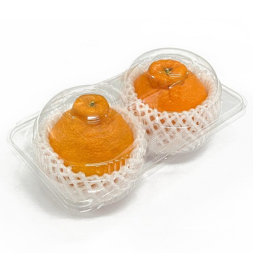 熊本県産 デコポン(しらぬい) 2個 450g