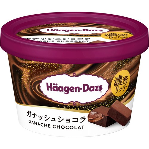ハーゲンダッツ ミニカップ ガナッシュショコラ 110ml