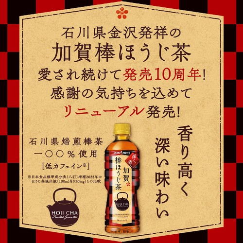 ほうじ茶 お茶の通販 | 静岡茶・深蒸し掛川茶の山英 | 山英の水出しほうじ茶 4g