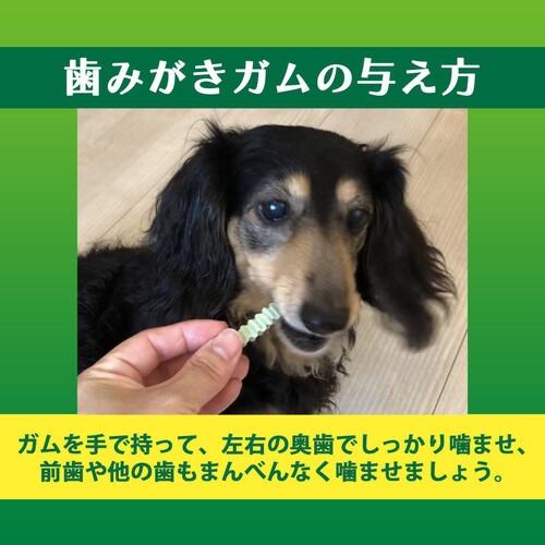 ライオンペット PETKISS 食後の歯みがきガム シニア 超小型犬用 70g