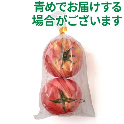 国内産 トマト 2個 1袋 Green Beans | グリーンビーンズ by AEON
