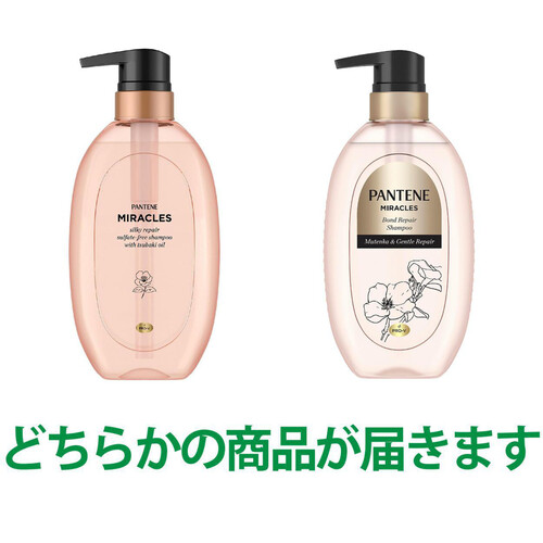 【お取り寄せ商品】 P&G パンテーンミラクルズ 無添加&ジェントルリペア シャンプー 440g