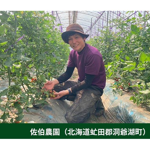 【有機】北海道産 佐伯農園 ミニトマト 200g