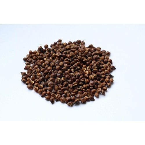 川光商事 国内産麦茶 10g x 60袋