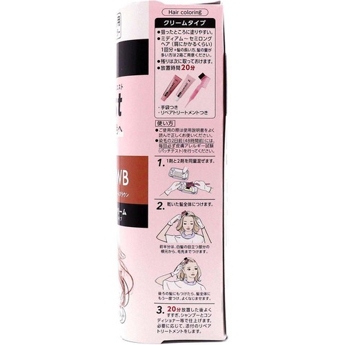 花王 ブローネ ルミエスト ヘアカラー 1WB ウォームブラウン 100g + 8g