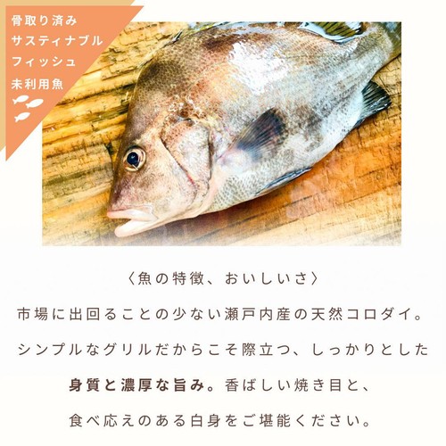 【冷凍】Umiのアトリエ 未利用魚 サスティナブルフィッシュ 愛媛県産コロダイのグリル 骨取済み・焼き調理済み  50g