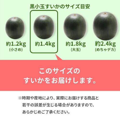 国内産 黒小玉すいか 1.4kg 1玉