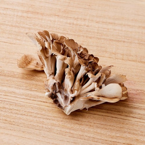 鮮度+］新潟県産 雪国まいたけ「極」 100g 1パック Green Beans