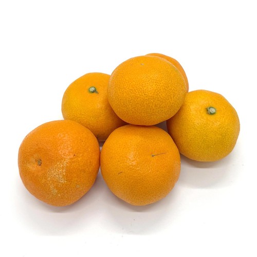 みかん 愛媛県産真穴地区 みかん S-Lサイズ 600g 1パック トップバリュ Green