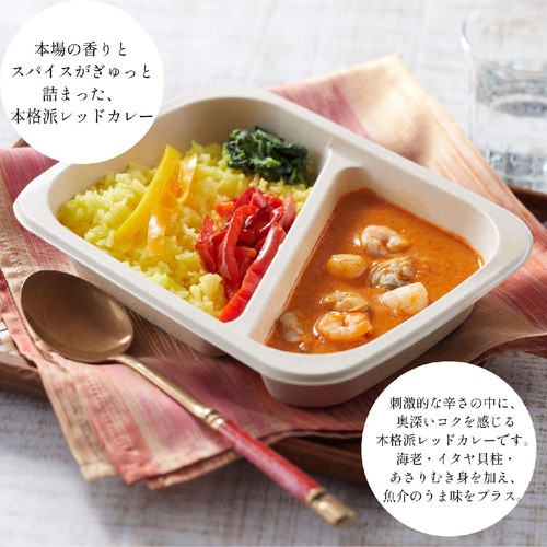 SLC/WISEDAYS レッドカレー【冷凍】 1食(285g)