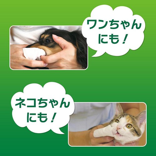 【ペット用】 ライオン PETKISS 歯みがきシート アップルの香り 犬・猫用 30枚
