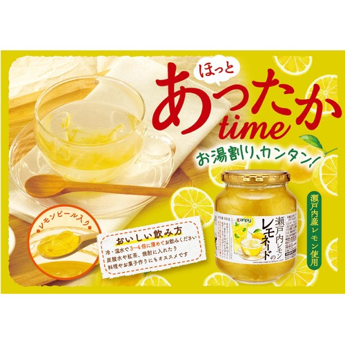 加藤産業 カンピー 瀬戸内レモンのレモネード 600g Green Beans