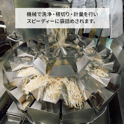 [鮮度+] 岐阜県産 かみもやし(製造翌日お届け) 200g