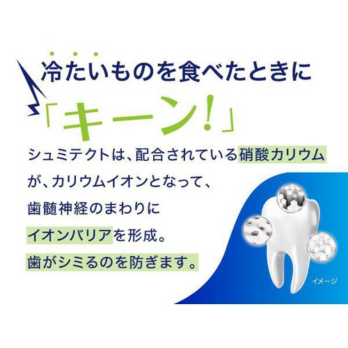 シュミテクト ムシ歯ケア 95g