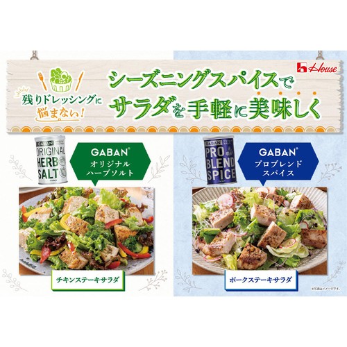 ハウス食品 GABAN ギャバン オリジナルハーブソルト 60g
