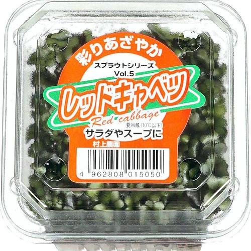 村上農園 レッドキャベツ スプラウト 1パック