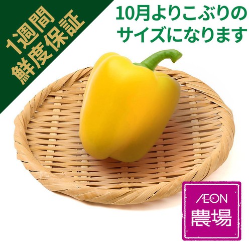 [鮮度+] 栃木県産 パプリカ(黄) 1個