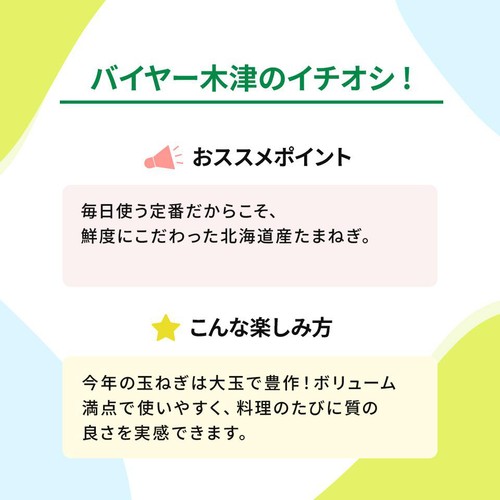 [鮮度+] 北海道産 たまねぎ 1.2kg(5-6個) 1袋