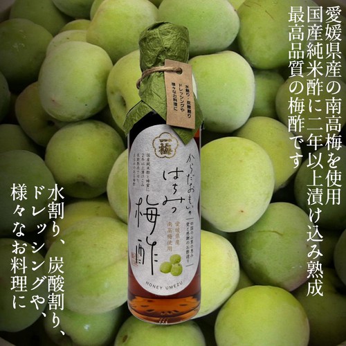 一梅酢 からだおもいのはちみつ梅酢 200ml