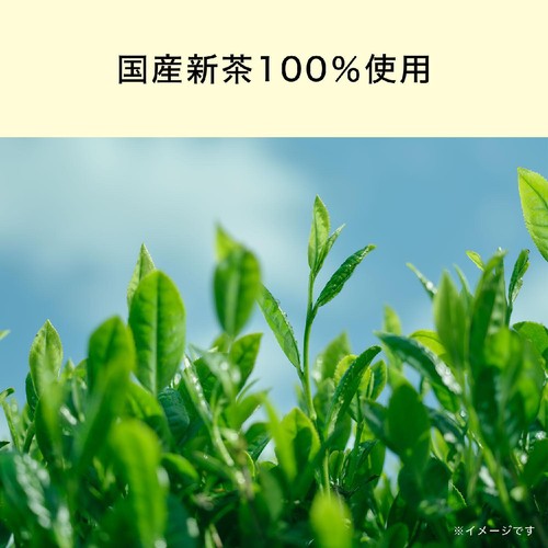伊藤園 特上蒸し緑茶 70g