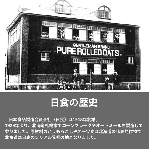 日食 Feel&Green やさしいコーンフレーク ビターカカオ 140g