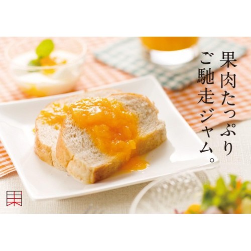 万果 沖縄マンゴーざくぎり果実 125g