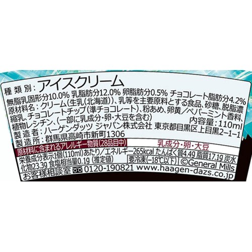 ハーゲンダッツ ミニカップ ショコラミントエクストラ 110ml