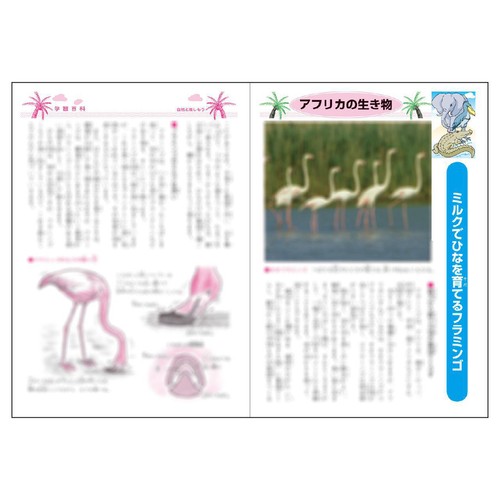 ショウワノート ジャポニカ学習帳 国語12行縦リーダー入り B5判 30枚