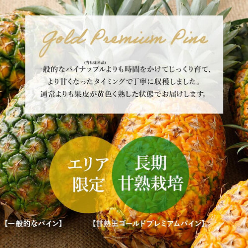 パインの実 フィリピン産スミフル 甘熟王ゴールドプレミアムパイン 大玉 1.5kg 1個