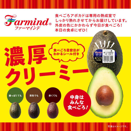 輸入 ファーマインド 食べごろアボカド(冷蔵庫保管) 190g 1個