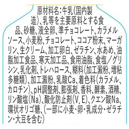 ドンレミー ベルギーチョコプリンのアラモード 1個