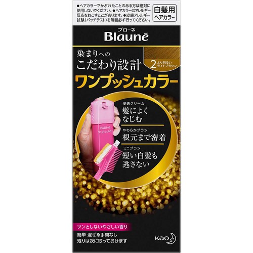 花王 ブローネ ワンプッシュカラー 2 より明るいライトブラウン 80g