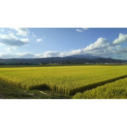 カワサキ森田屋 山形県 河北産つや姫 特別栽培米 生産者奥山農園 3kg