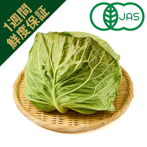 [鮮度+]【有機】国内産 キャベツ(こぶり) 1個