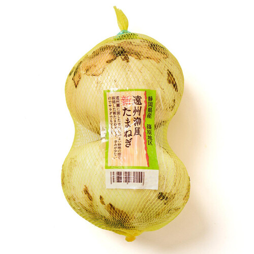 静岡県産 遠州潮風たまねぎ 360g (2個) 1袋 Green Beans | グリーン