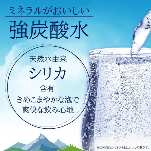 伊藤園 ミネラルストロング強炭酸水 1ケース 500ml x 24本 Green Beans